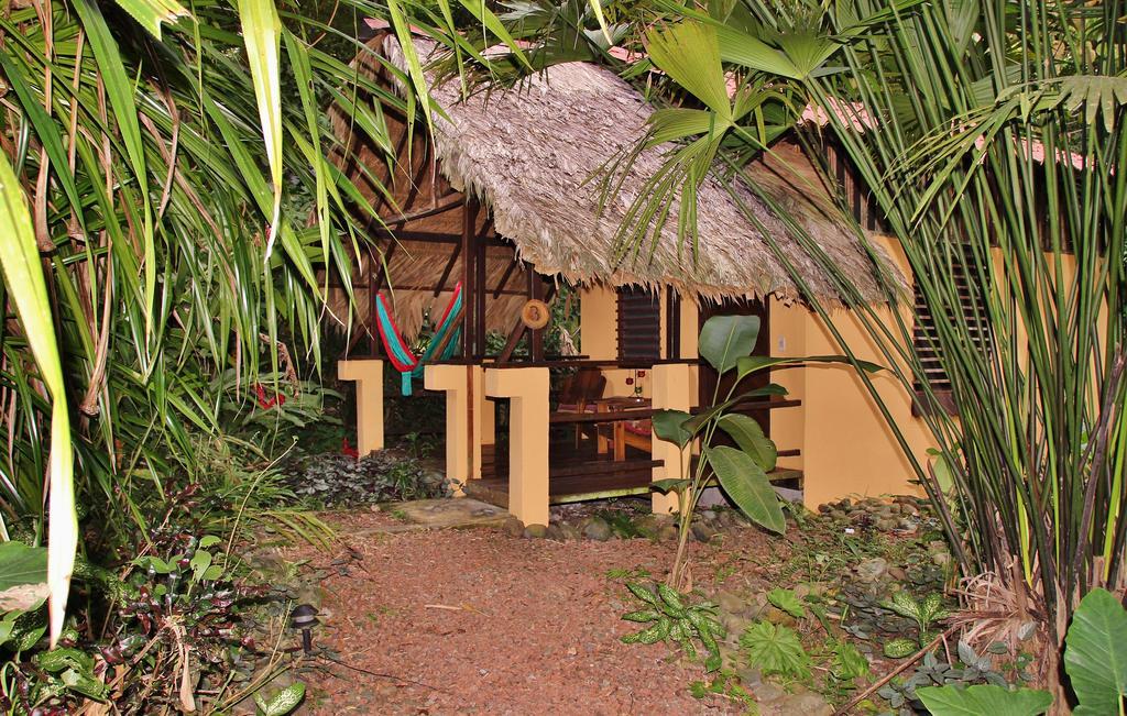 Caribe Town Bungalows Puerto Viejo de Talamanca Szoba fotó