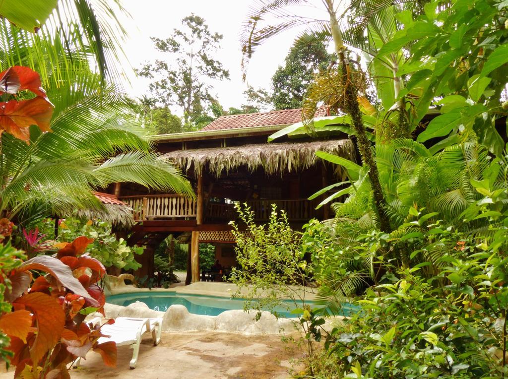 Caribe Town Bungalows Puerto Viejo de Talamanca Kültér fotó