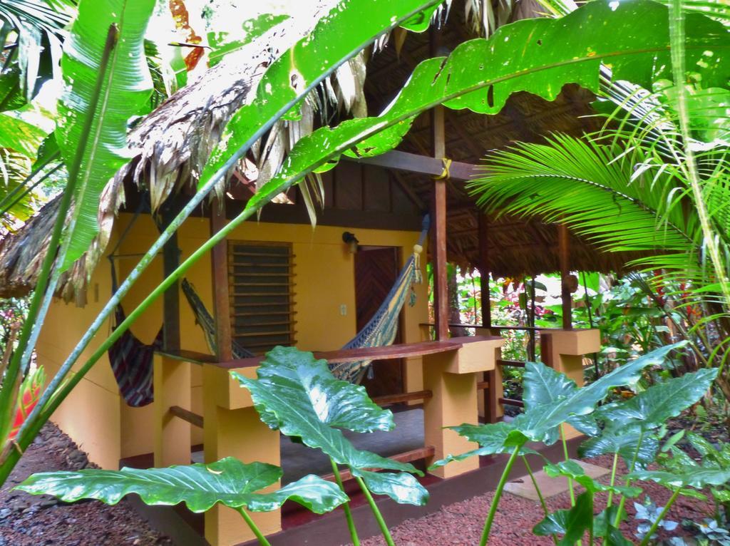 Caribe Town Bungalows Puerto Viejo de Talamanca Szoba fotó