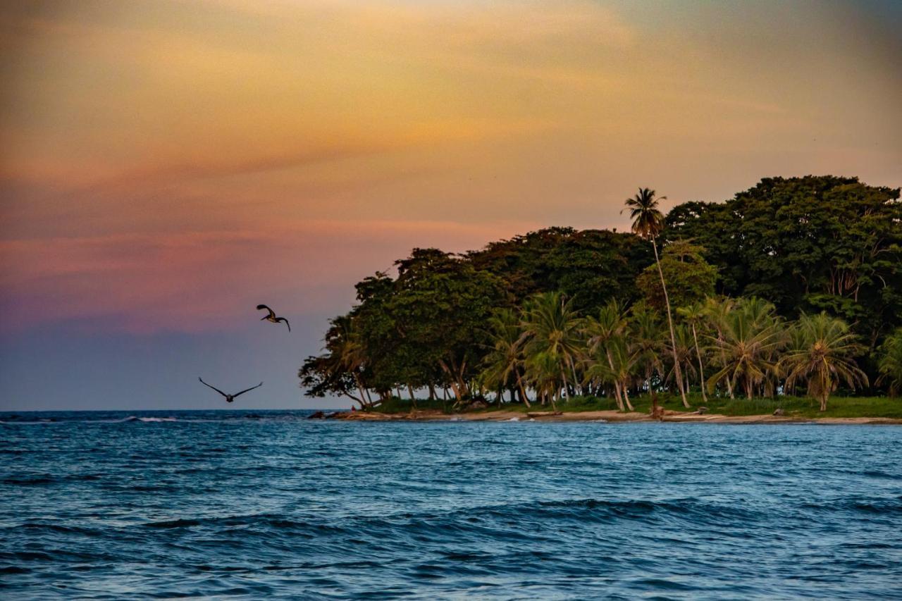 Caribe Town Bungalows Puerto Viejo de Talamanca Kültér fotó