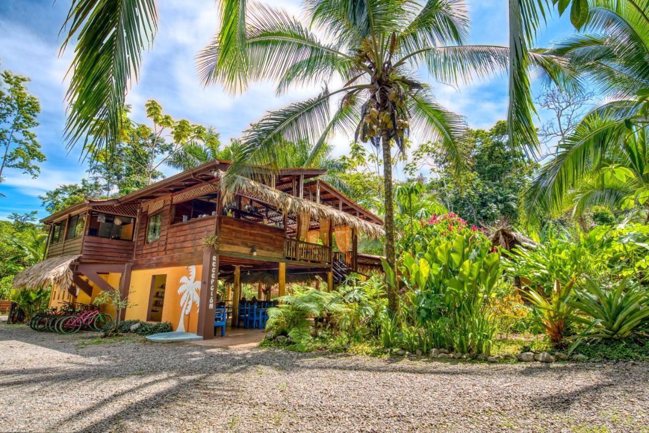 Caribe Town Bungalows Puerto Viejo de Talamanca Kültér fotó