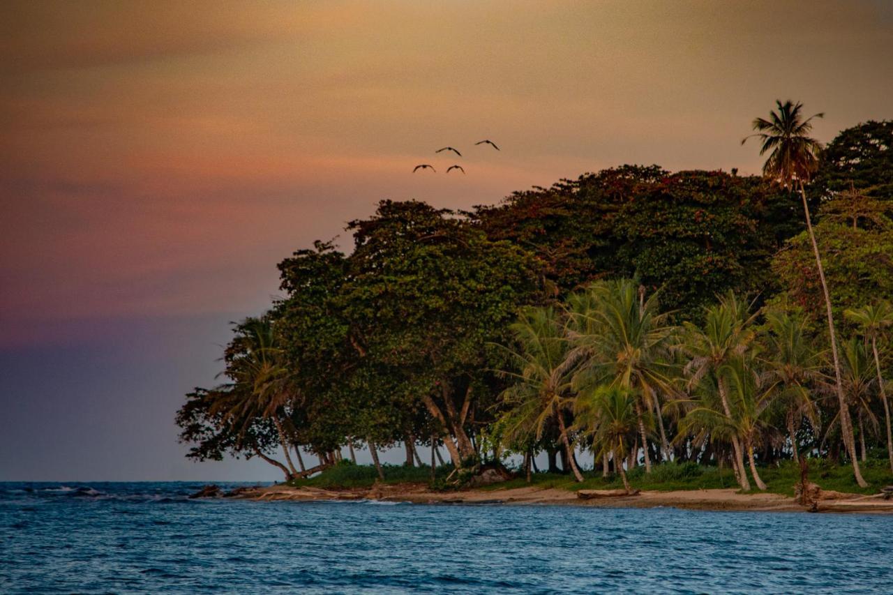Caribe Town Bungalows Puerto Viejo de Talamanca Kültér fotó